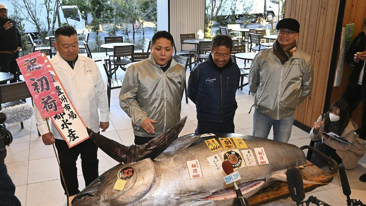 Bu paraya en az 15 tane ev alınır! 276 kilogramlık dev balık rekor fiyata satıldı - 1. Resim