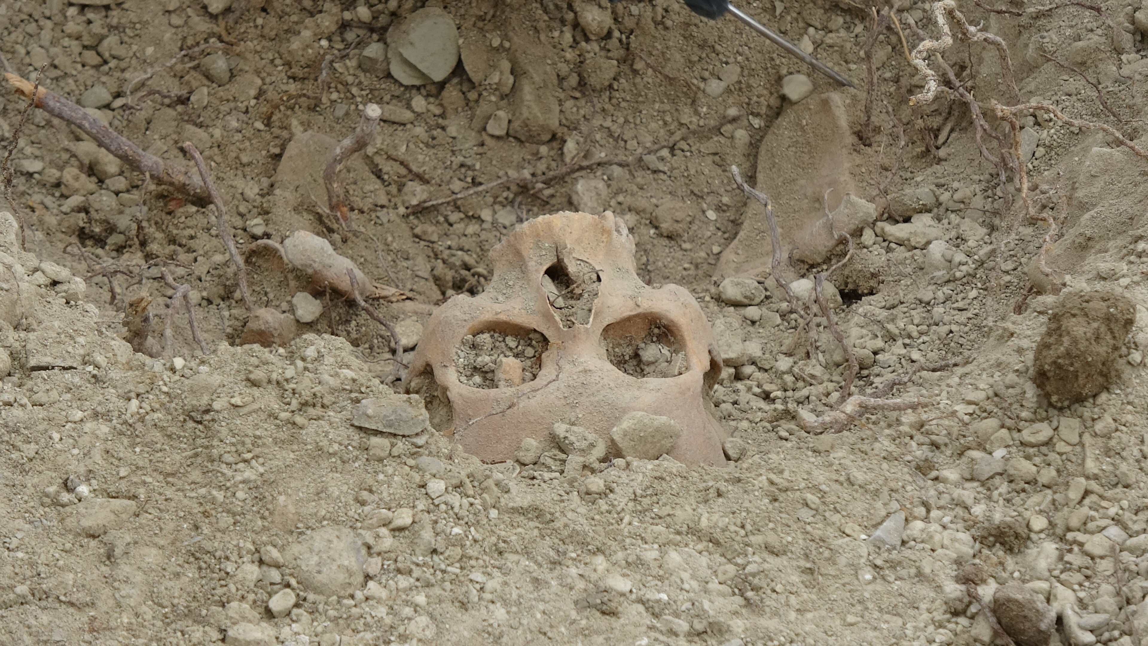 Burdur'daki tüyler ürperten olayda yeni gelişme! Ekipler olay yerini ablukaya aldı Burdur öğretmenevinde tüyler ürperten olayda yeni gelişme! Ekipler olay yerini ablukaya aldı - 4. Resim