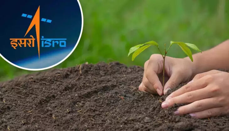 Uzay tarımında yeni çağ: Börülce tohumları 4 günde filizlendi - 2. Resim