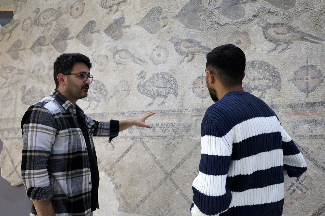 Ahırda tutulan 2 bin yıllık mozaik: Tam 22 yıldır çıkarılmayı bekliyor! Ahırda tutulan 2 bin yıllık mozaik: Tam 22 yıldır çıkarılmayı bekliyor! - 2. Resim