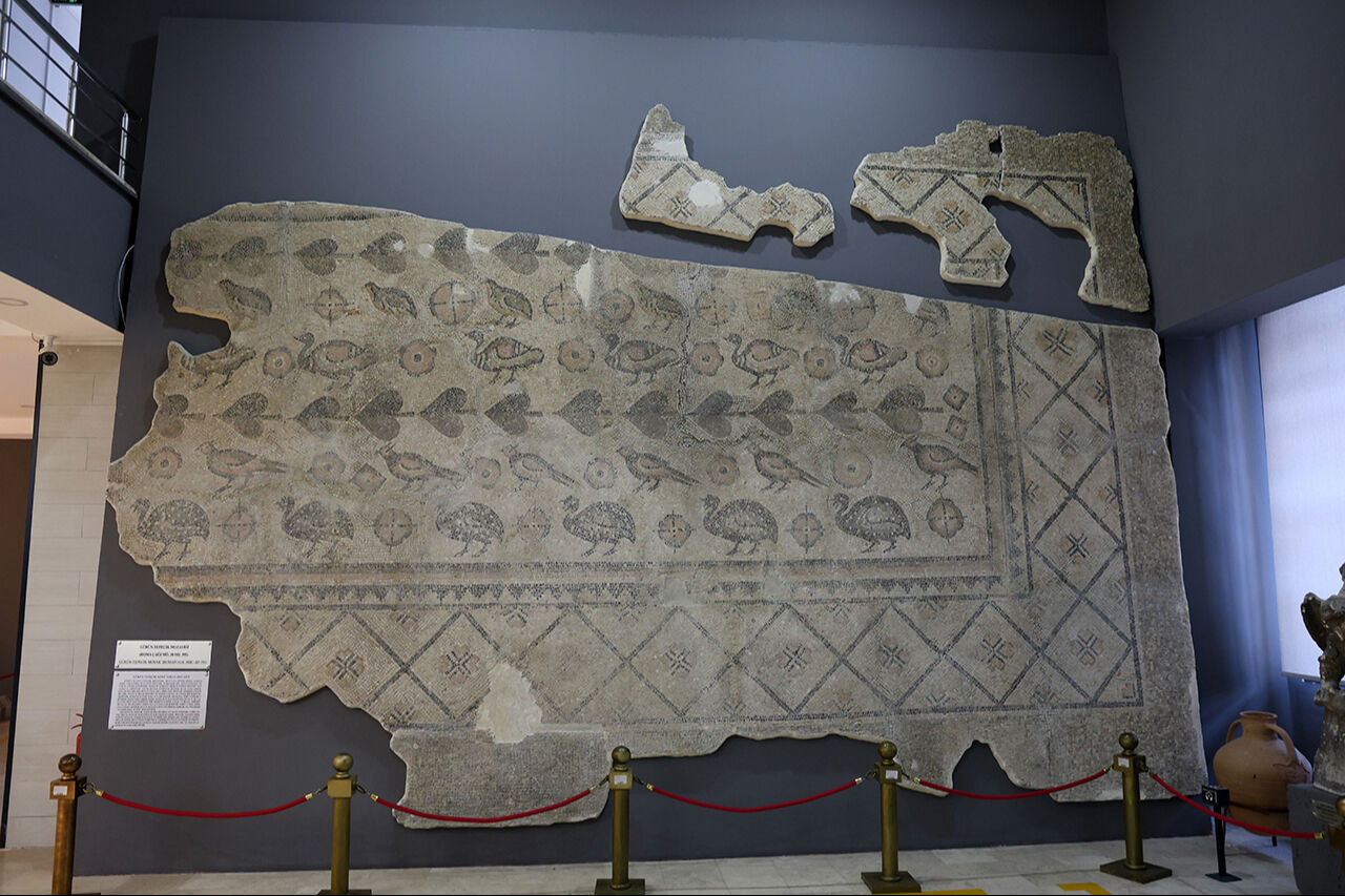 Ahırda tutulan 2 bin yıllık mozaik: Tam 22 yıldır çıkarılmayı bekliyor! Ahırda tutulan 2 bin yıllık mozaik: Tam 22 yıldır çıkarılmayı bekliyor! - 3. Resim