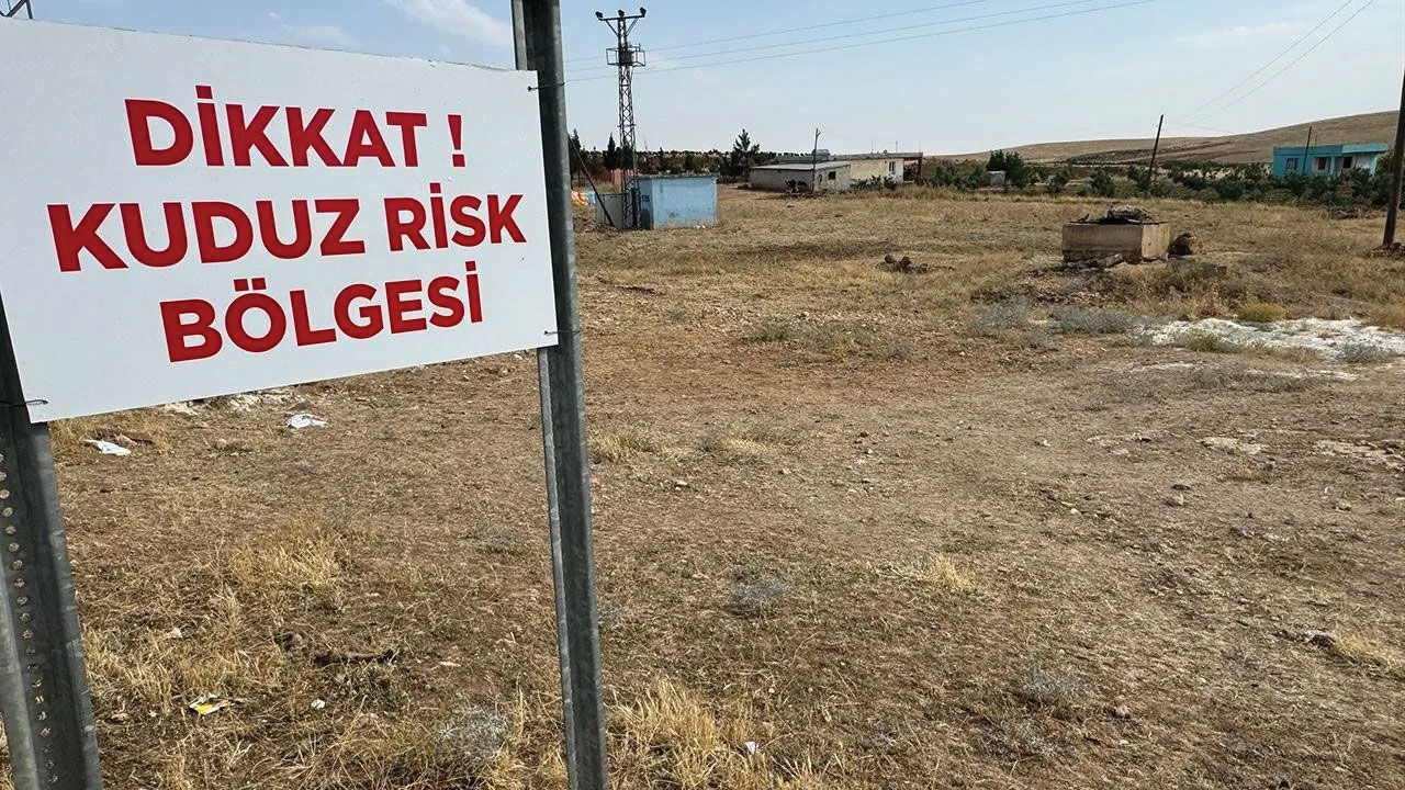 Hatay'da iki kişiyi ısıran köpek öldü! Bir mahalle kuduz karantinasında - 4. Resim