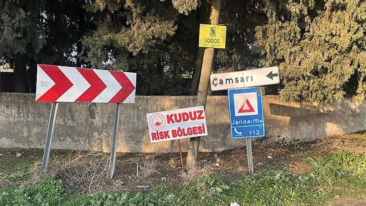 Hatay'da iki kişiyi ısıran köpek öldü! Bir mahalle kuduz karantinasında - 2. Resim