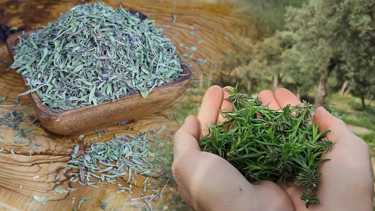 İbrahim Saraçoğlu'nun kekik çayı tarifi kekik çayının sağlığa faydaları! - 1. Resim