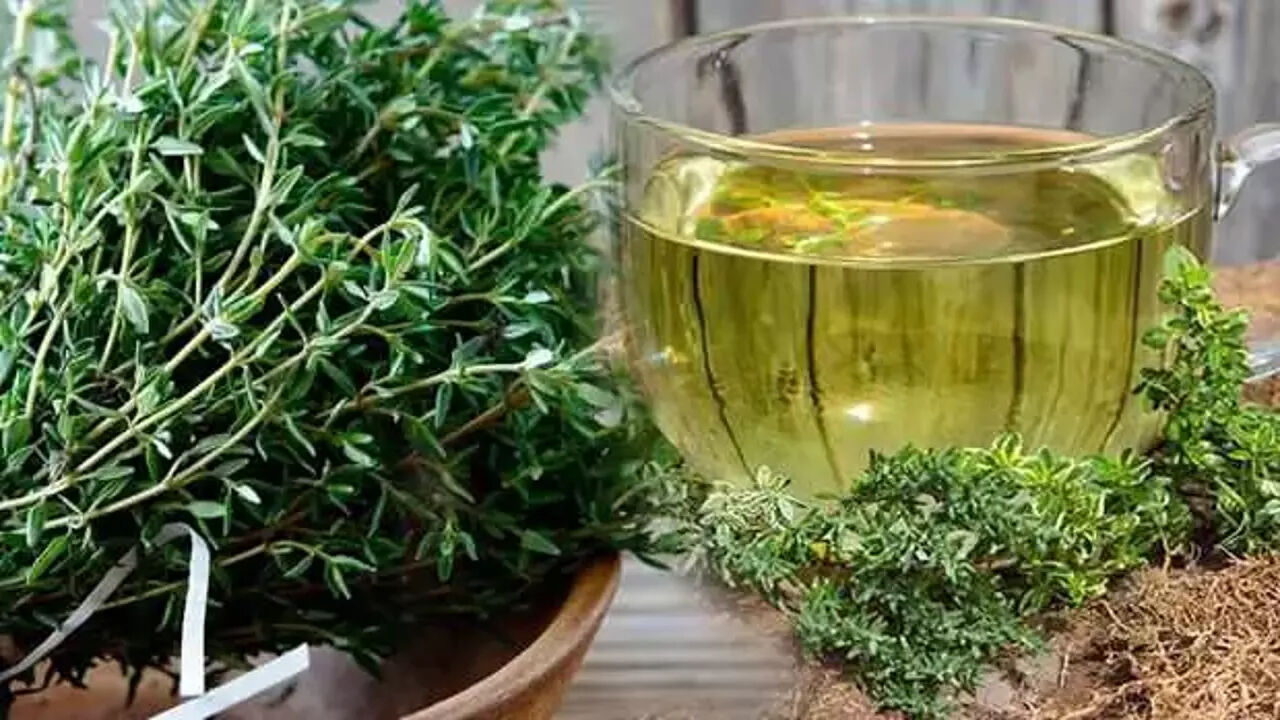 İbrahim Saraçoğlu'nun kekik çayı tarifi kekik çayının sağlığa faydaları! - 4. Resim