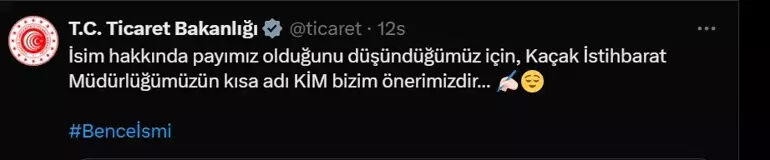 Yavru gorilin ismi için son karar verildi - 2. Resim