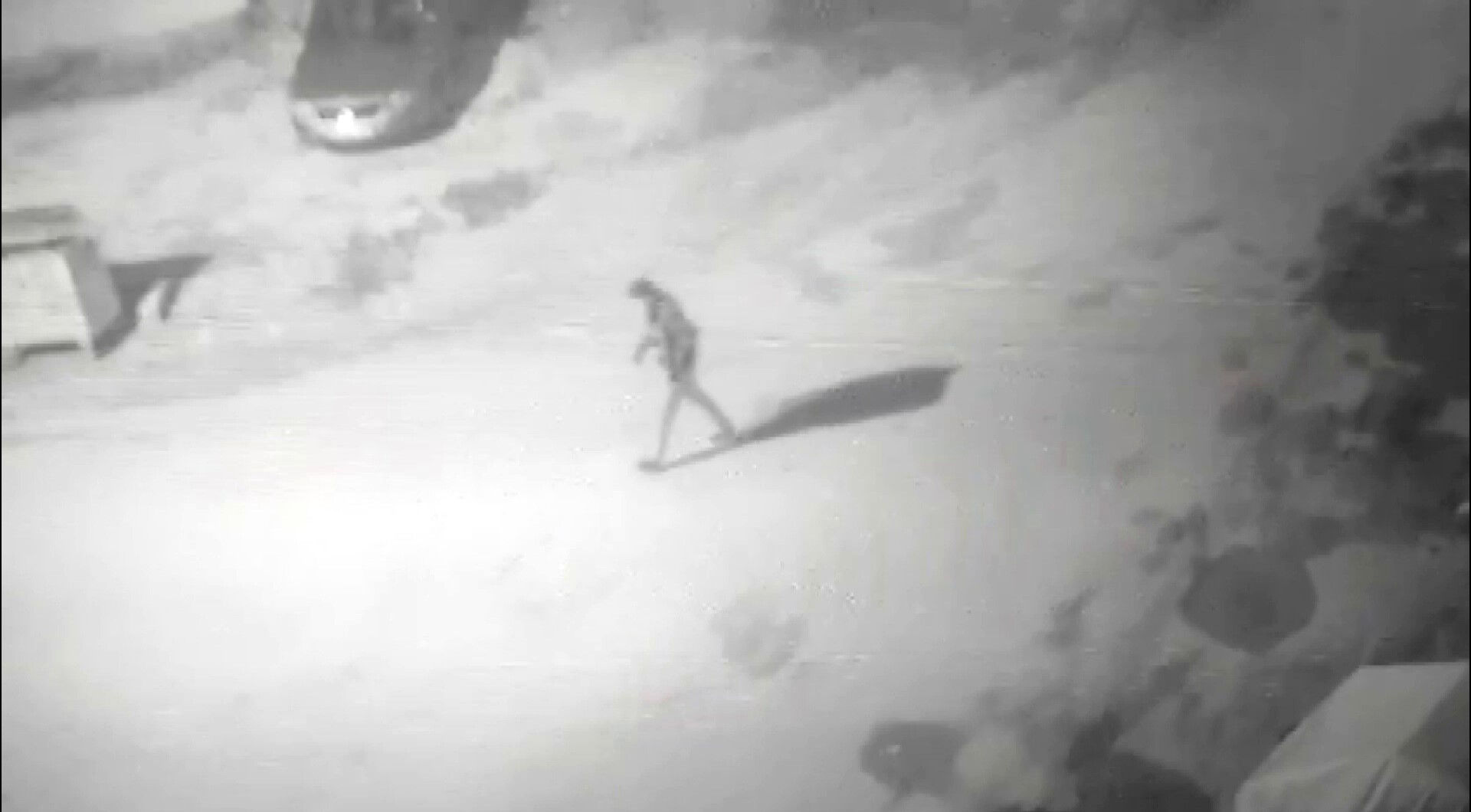 Yüzlerce paket sigara çaldı yetmedi kameraları da yanında götürdü - 3. Resim