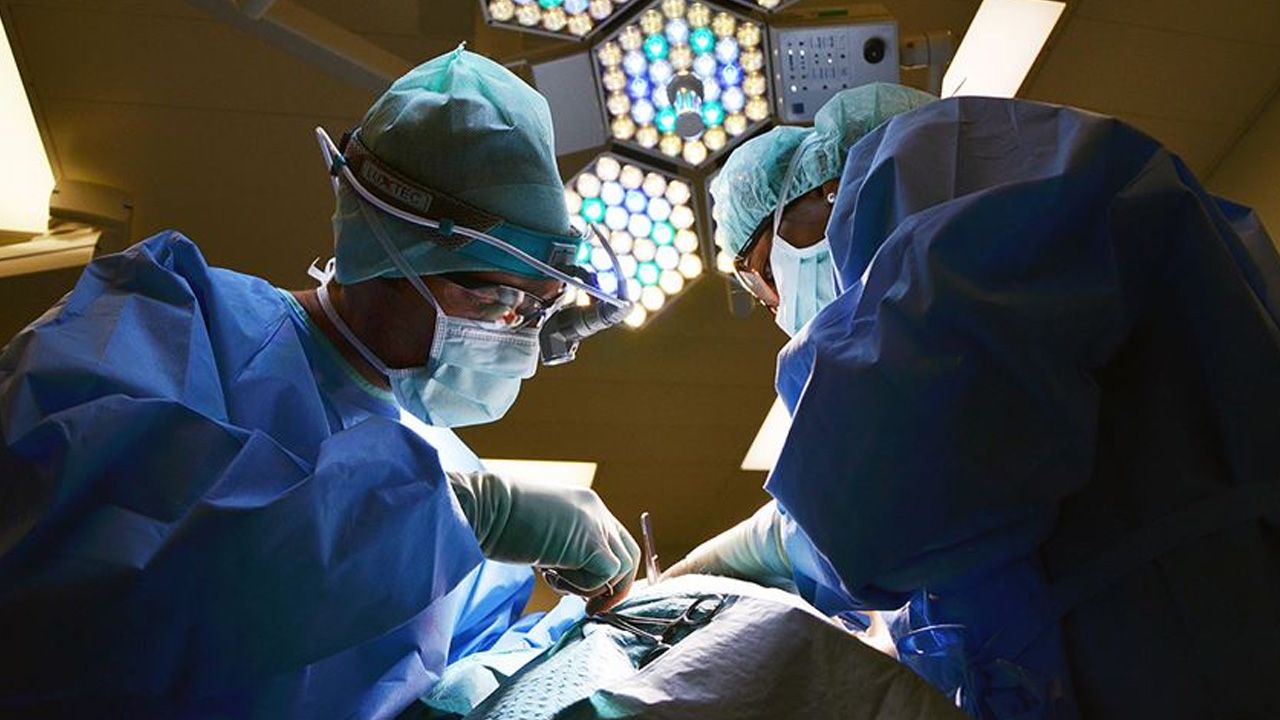 Estetik genelgesi tıp dünyasını ikiye böldü! Uzmanlar yeni yönetmelikte anlaşamadı Sağlık Bakanlığı'ndan tartışılacak karar! Estetikte uzman olma şartı kalktı  | Türkiye Gazetesi