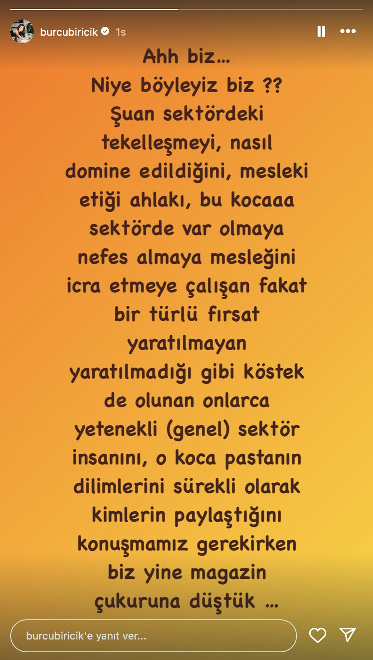 Rekabet Kurumu'nun Ayşe Barım soruşturması ünlüleri harekete geçirdi: Serenay Sarıkaya, Bergüzar Korel, Hazal Kaya... - 8. Resim