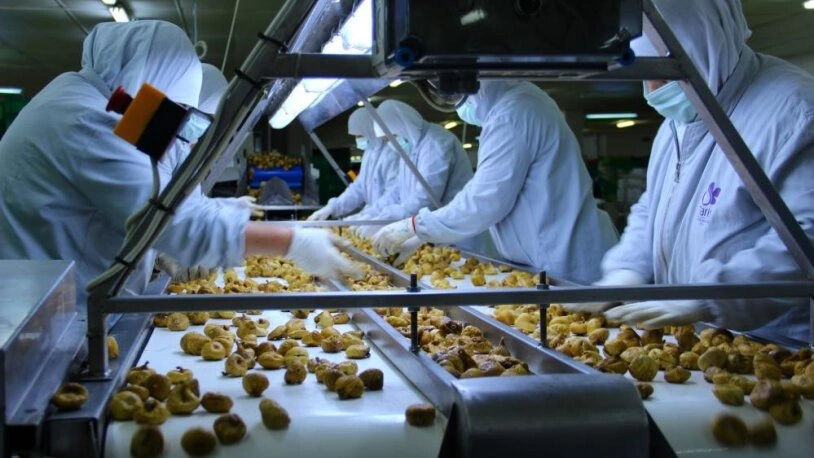 Fransa ve İsveç'in ardından İtalya'da iade ediyor! Türkiye'den gönderilen gıda ürünlerinde korkunç detay - 2. Resim