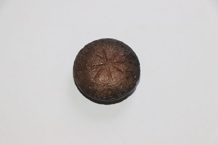 Karabük'teki antik şehirde askeri strateji oyununa ait taşlar bulundu - 2. Resim