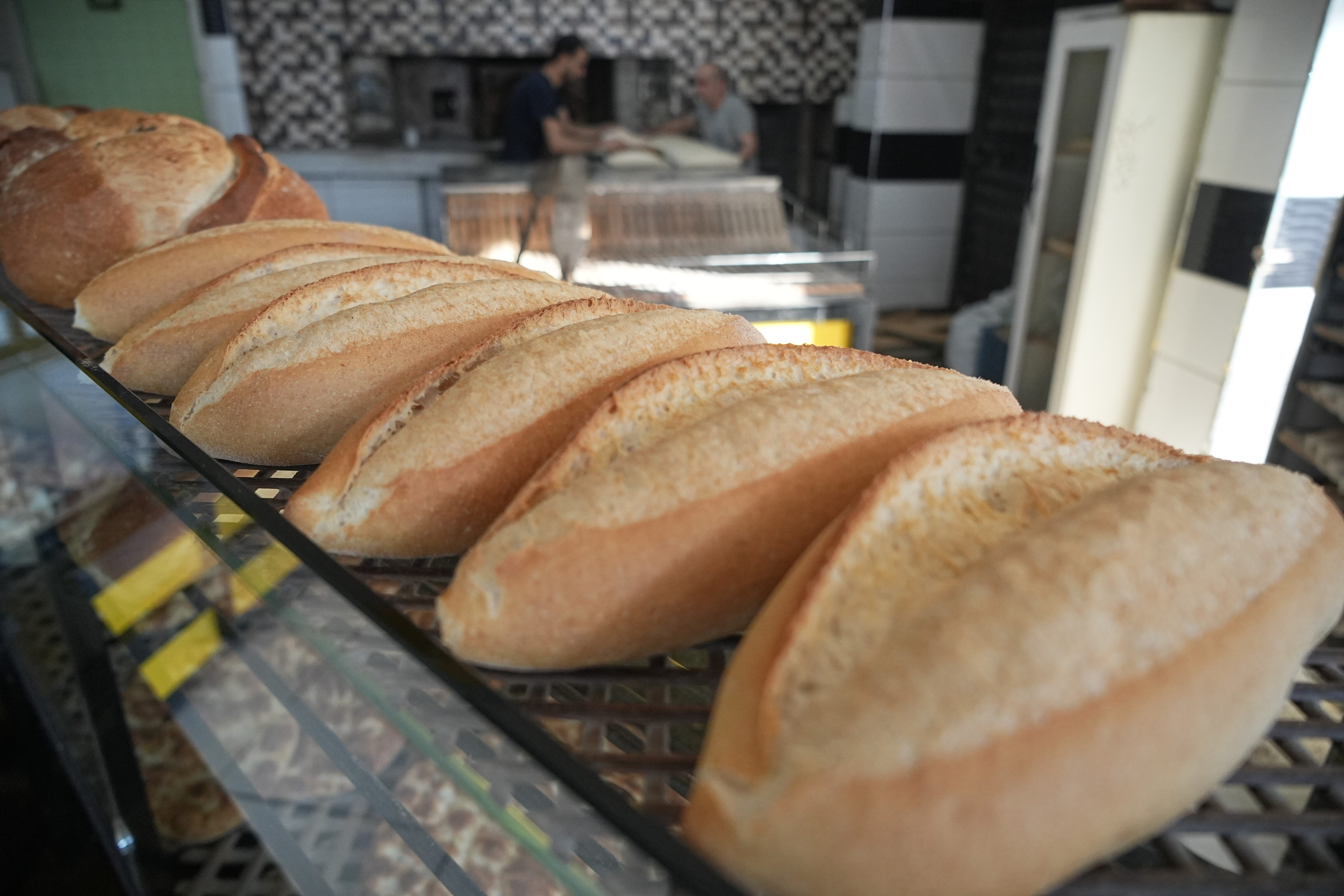 15 yıldır günde 5 ekmek karşılığı çalışıyordu! Yeni patronuna hayatının şokunu yaşattı - 3. Resim