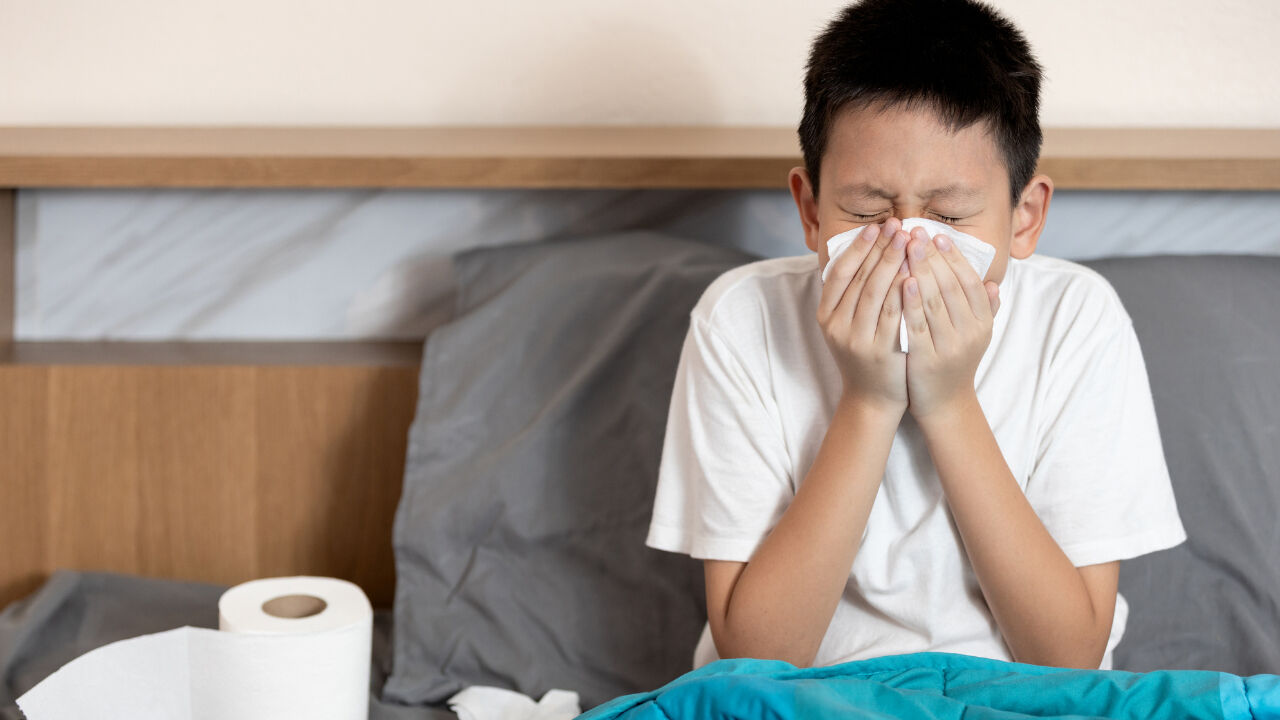 HMPV virüsü belirtileri nedir, ölümcül müdür? Türkiye henüz görülmediği belirtildi! HMPV virüsü belirtileri nedir, ölümcül müdür? Türkiye henüz görülmediği belirtildi! - 4. Resim