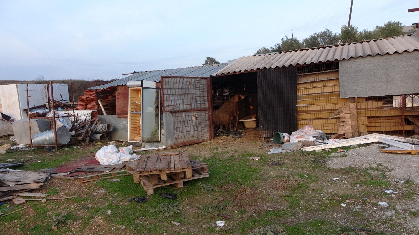 Kendisine çarpan adama söylediği sözler olay olmuştu! Bu kez tilkiye taktı! Siteminin sebebi kahkahaya boğdu - 2. Resim