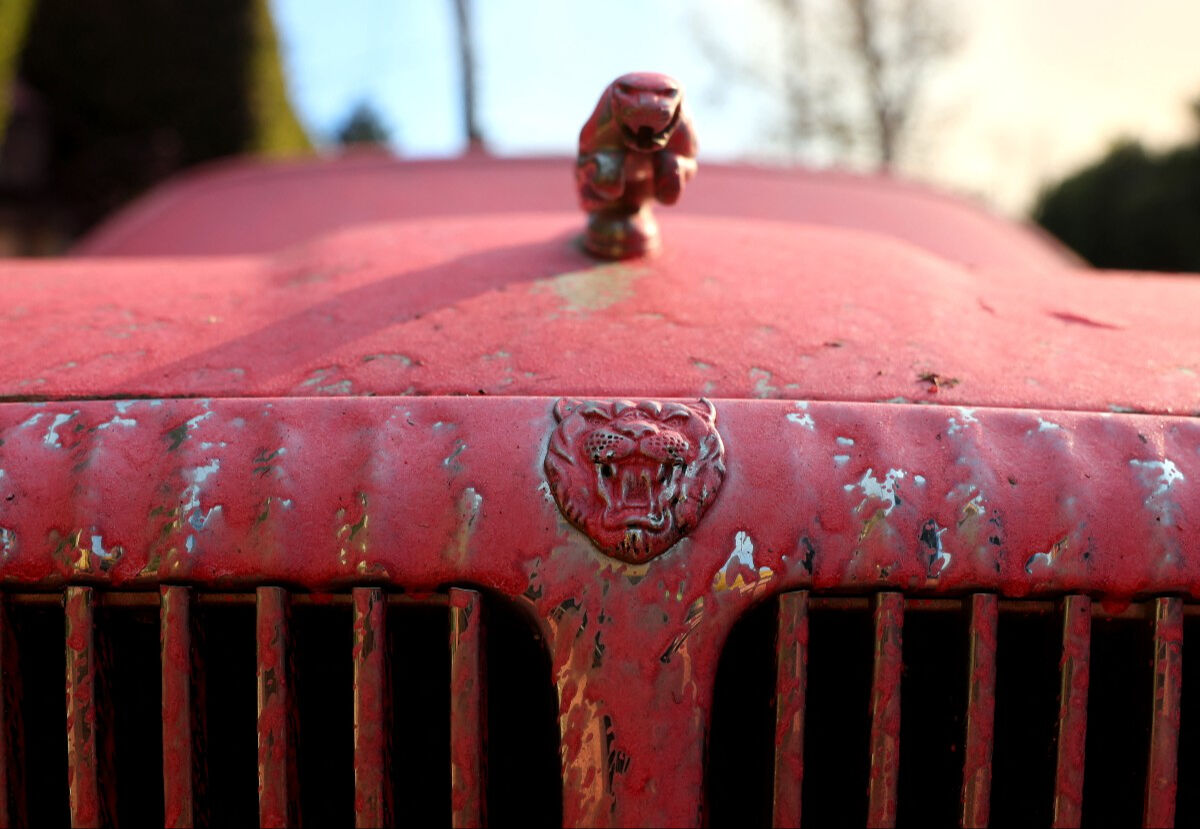 Yangın sonrası dikkat çekti, herkes ne olduğunu merak etti! Los Angeles sokaklarını pembeye boyayan madde ne? Yangın sonrası dikkat çekti, herkes ne olduğunu merak etti! Los Angeles sokaklarını kırmızıya boyayan madde ne? - 5. Resim