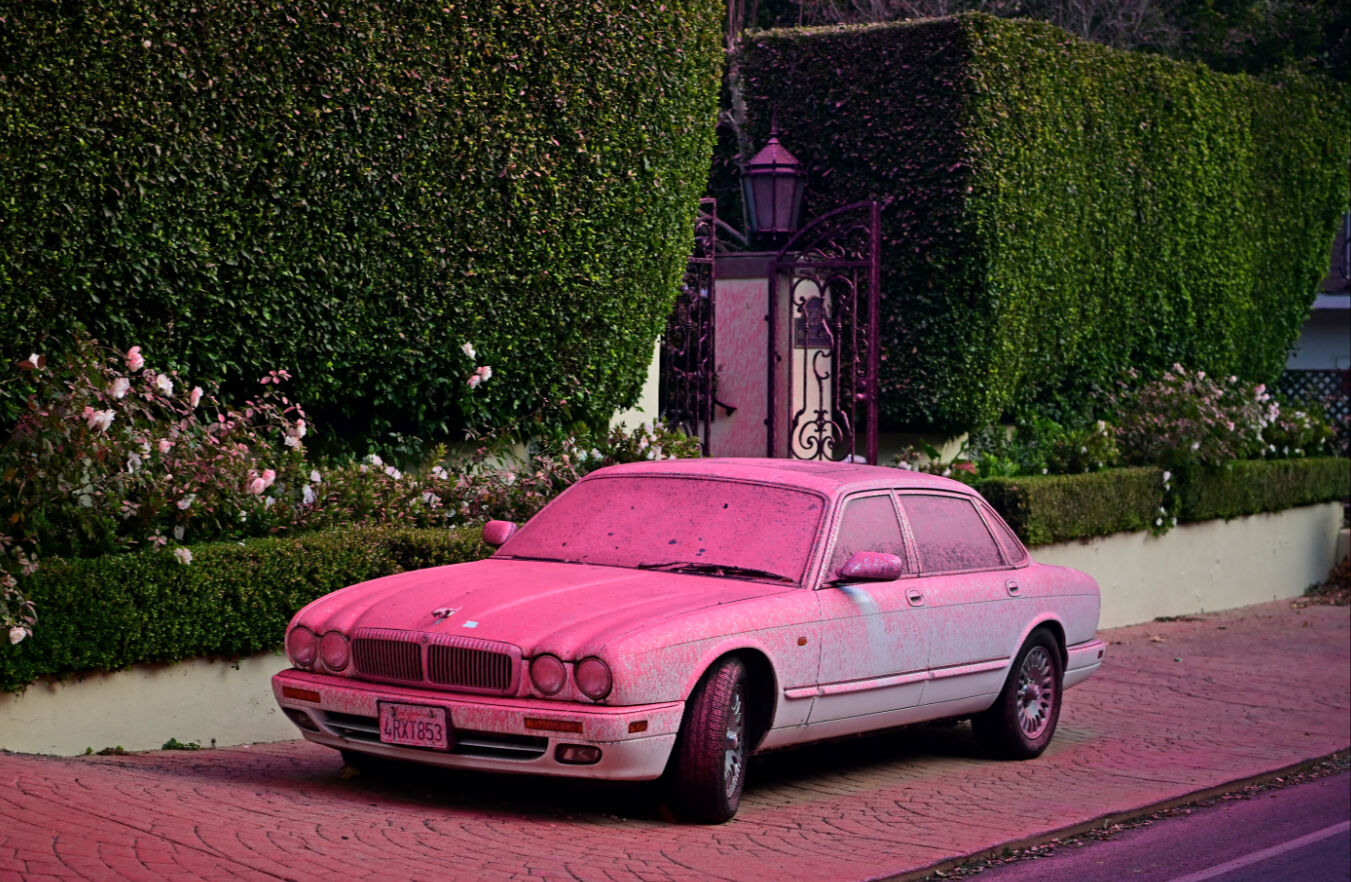 Yangın sonrası dikkat çekti, herkes ne olduğunu merak etti! Los Angeles sokaklarını pembeye boyayan madde ne? Yangın sonrası dikkat çekti, herkes ne olduğunu merak etti! Los Angeles sokaklarını kırmızıya boyayan madde ne? - 3. Resim