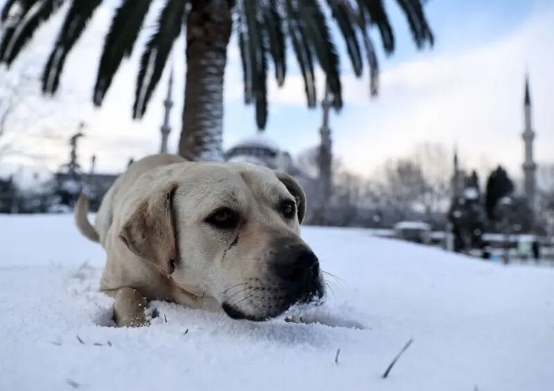 2025'in kar yağışı kapıda! İstanbul'da kar ne zaman yağacak? - 1. Resim