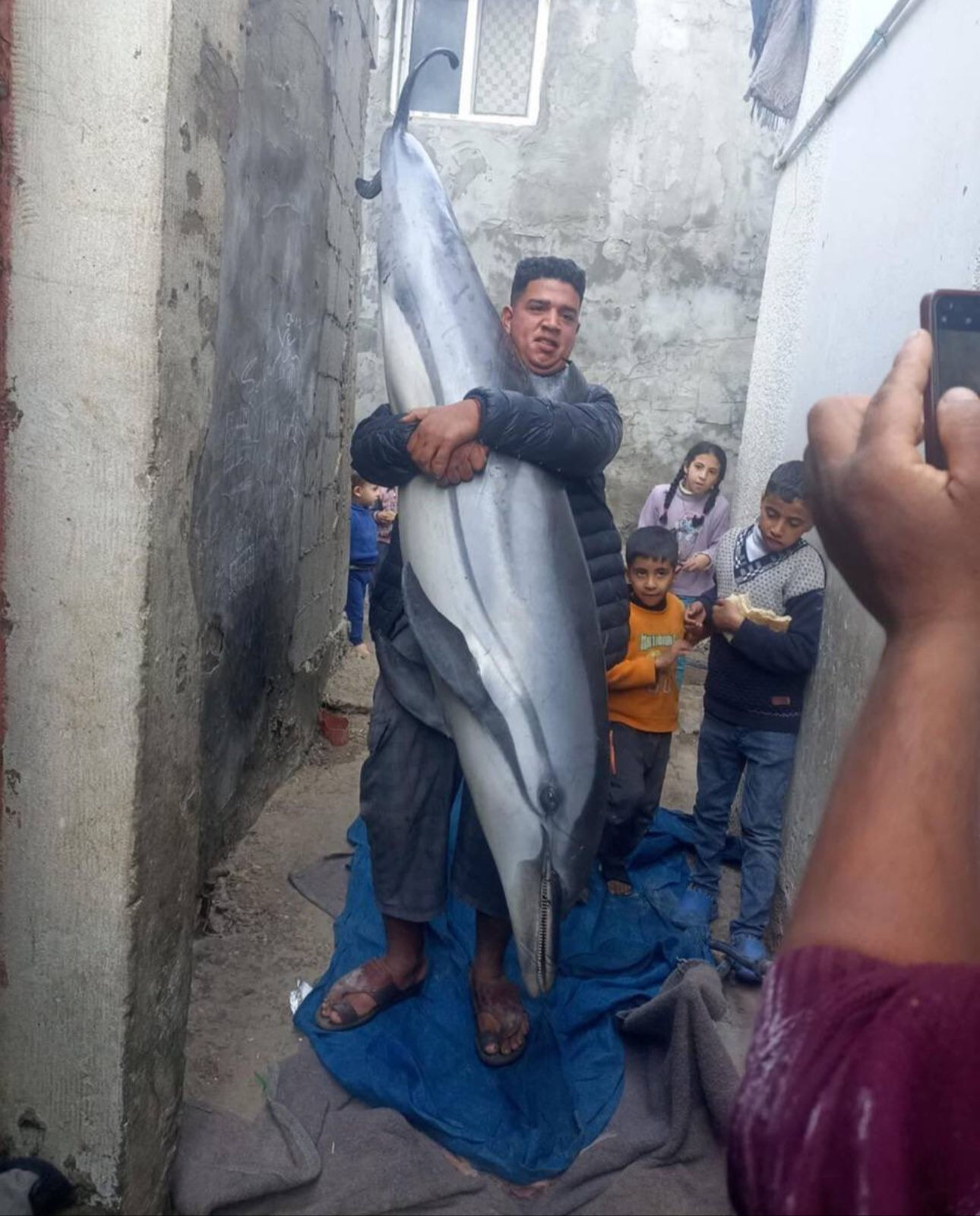 Açlıktan kırılan Gazze'de denize açılan Filistinli yunus balığı avladı - 1. Resim