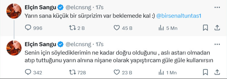 Elçin Sangu Birsen Altuntaş olayı nedir? Ünlü oyuncudan Başay Okay cevabı - 2. Resim