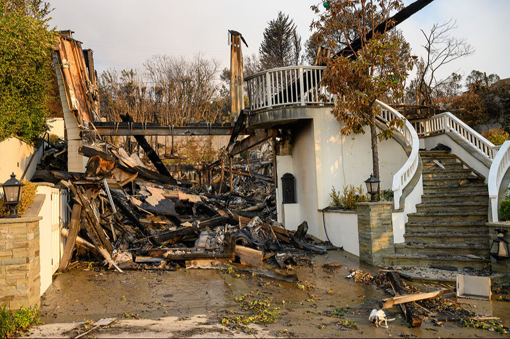 Mel Gibson'dan Los Angeles'taki yangınlarla ilgili çarpıcı açıklama: Korkunç teoriler üretebilirim ama... - 6. Resim