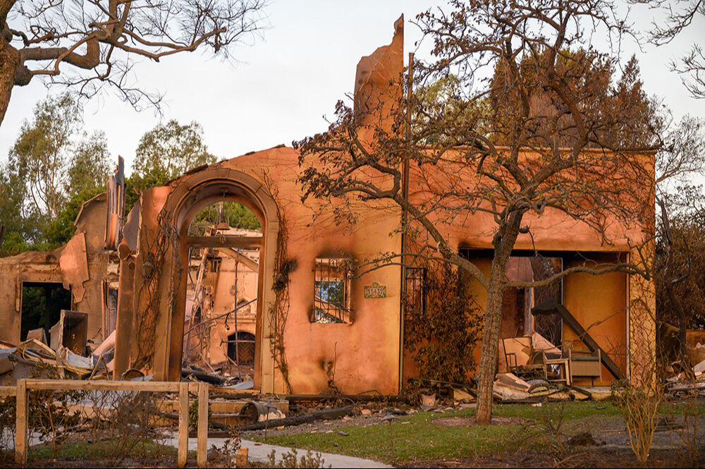 Mel Gibson'dan Los Angeles'taki yangınlarla ilgili çarpıcı açıklama: Korkunç teoriler üretebilirim ama... - 3. Resim