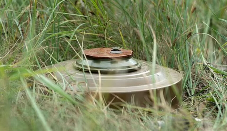 Orduya ait onlarca mayın IKEA deposundan çıktı! Tümgeneral görevden alındı - 2. Resim