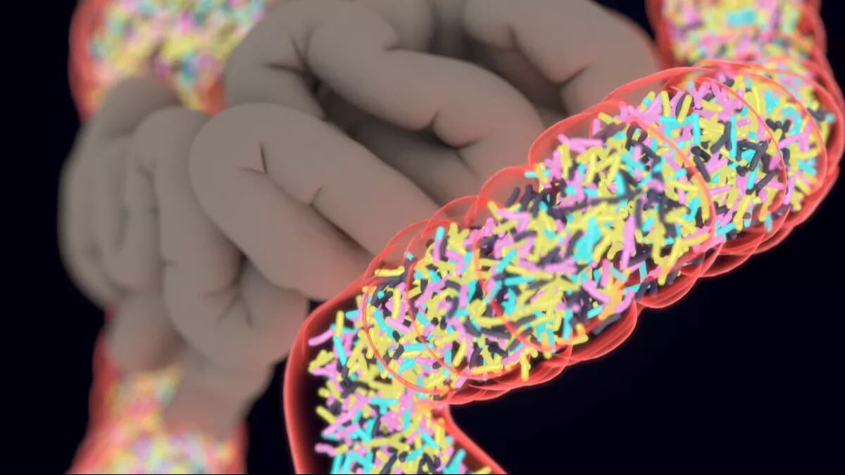 Tarihte bir ilk: İnsan dışkısından üretilen hap şifa dağıtacak! - 1. Resim