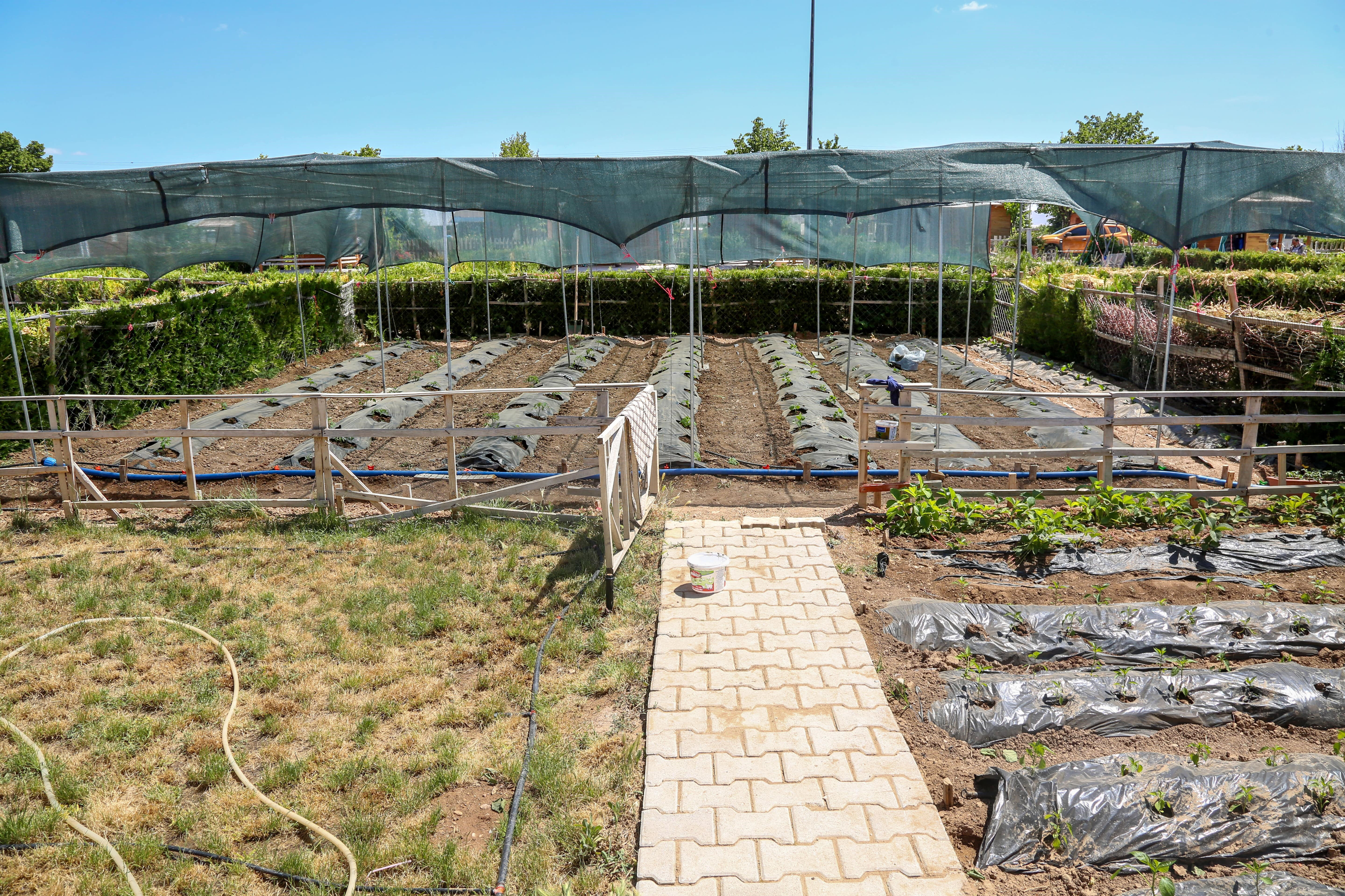 5 yıllık kirası 30 bin TL! Hobi bahçeleri için başvurular başlıyor 5 yıllık kirası 30 bin TL! Hobi bahçeleri için başvurular başlıyor - 2. Resim