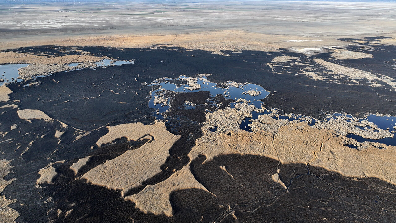 Korunması gereken alan alevler içinde! Kayseri Sultan Sazlığı Milli Parkı'nda yangın çıktı Korunması gereken alan alevler içinde! Kayseri Sultan Sazlığı Milli Parkı'nda yangın çıktı - 3. Resim
