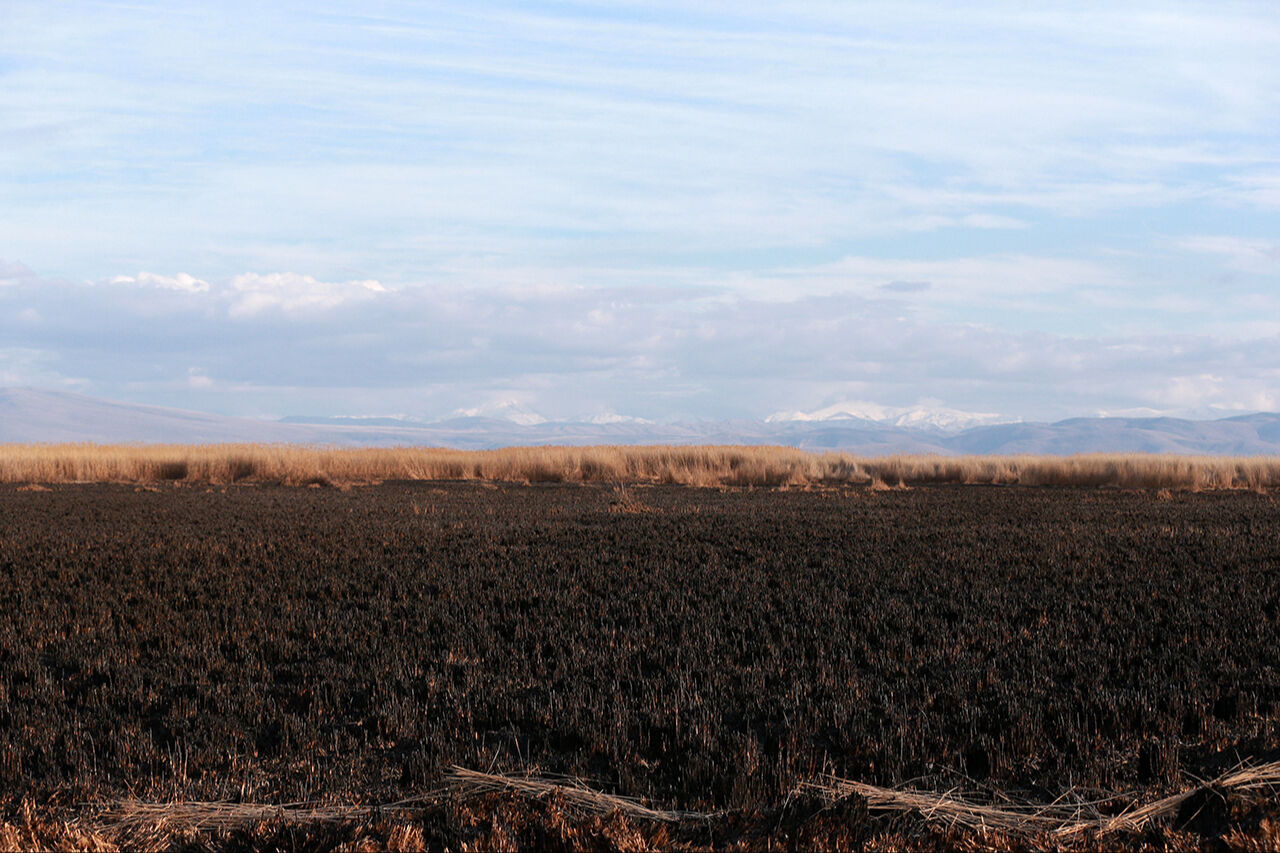 Korunması gereken alan alevler içinde! Kayseri Sultan Sazlığı Milli Parkı'nda yangın çıktı Korunması gereken alan alevler içinde! Kayseri Sultan Sazlığı Milli Parkı'nda yangın çıktı - 6. Resim