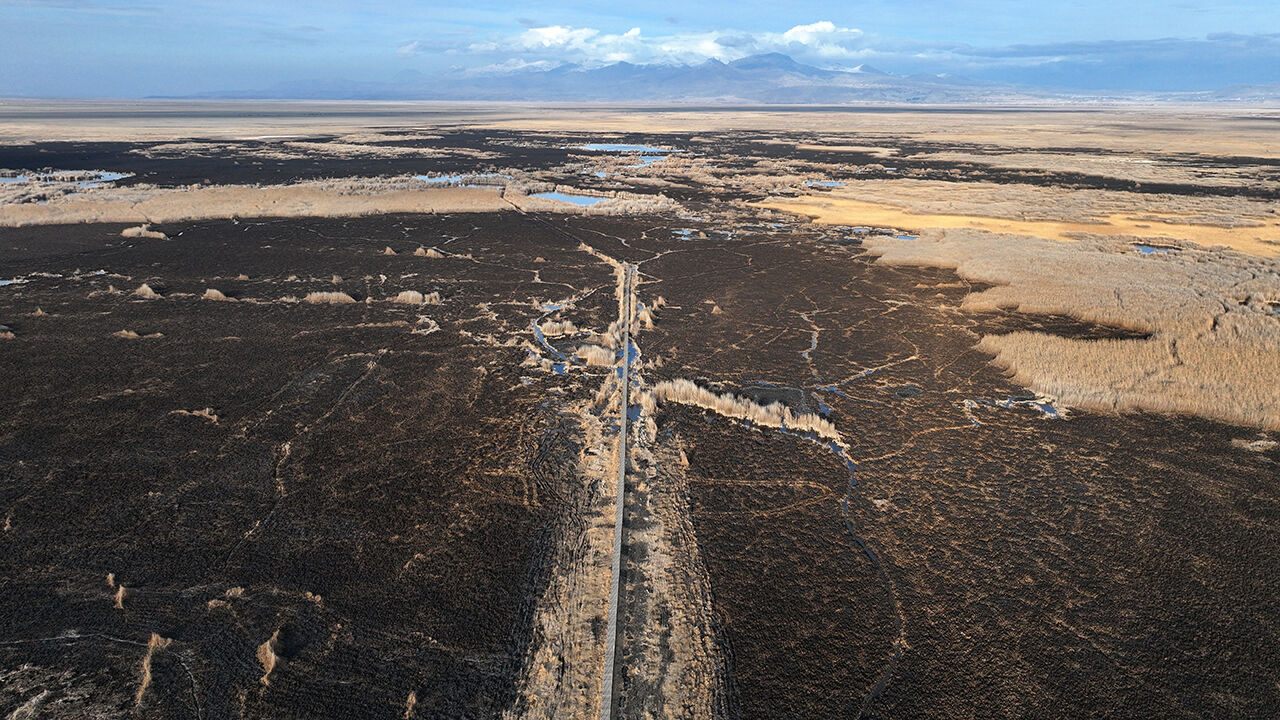 Korunması gereken alan alevler içinde! Kayseri Sultan Sazlığı Milli Parkı'nda yangın çıktı Korunması gereken alan alevler içinde! Kayseri Sultan Sazlığı Milli Parkı'nda yangın çıktı - 4. Resim