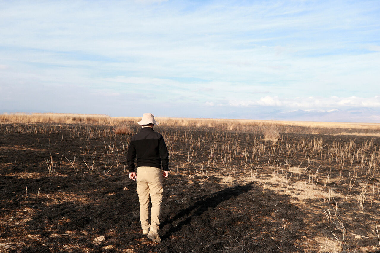 Korunması gereken alan alevler içinde! Kayseri Sultan Sazlığı Milli Parkı'nda yangın çıktı Korunması gereken alan alevler içinde! Kayseri Sultan Sazlığı Milli Parkı'nda yangın çıktı - 5. Resim