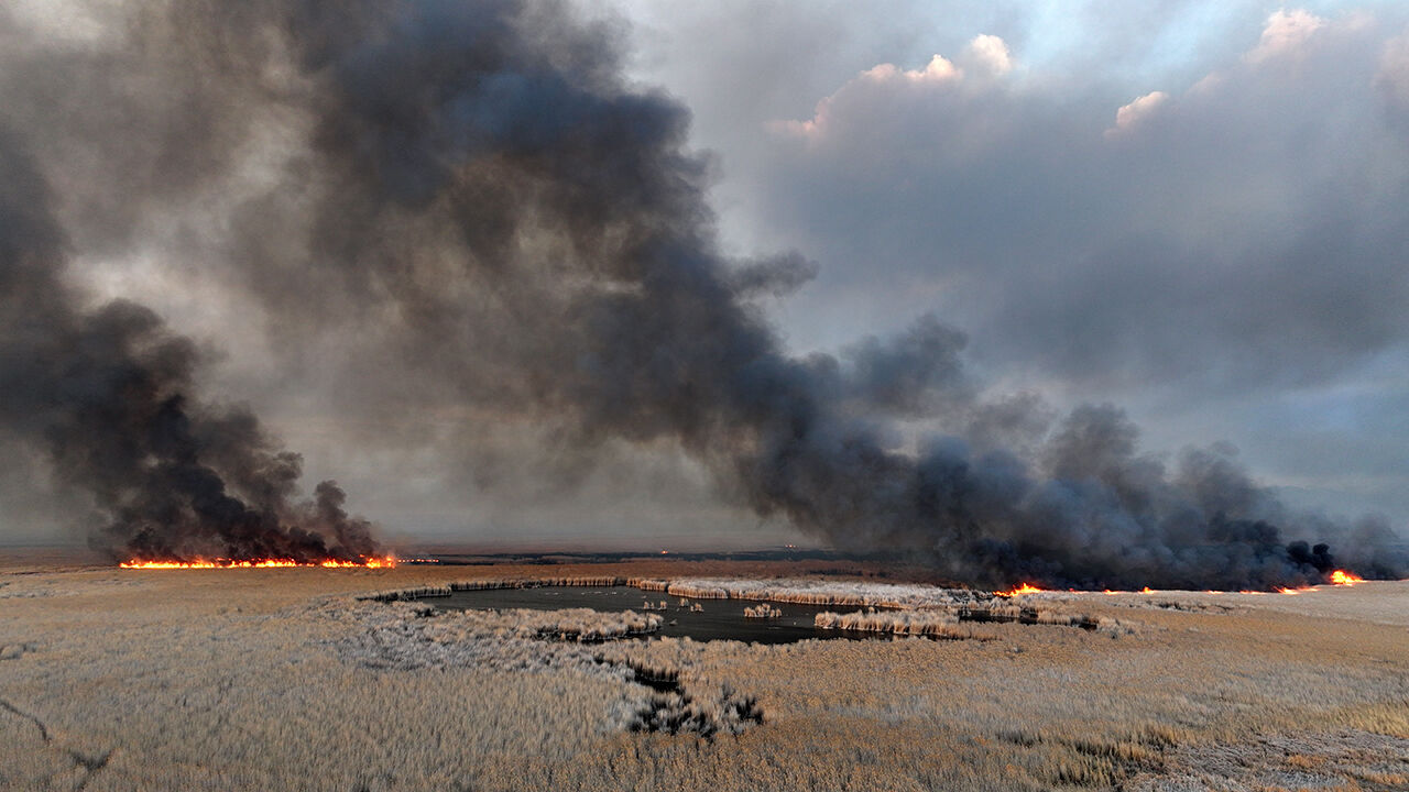 Korunması gereken alan alevler içinde! Kayseri Sultan Sazlığı Milli Parkı'nda yangın çıktı Korunması gereken alan alevler içinde! Sultan Sazlığı Milli Parkı'nda yangın çıktı - 1. Resim