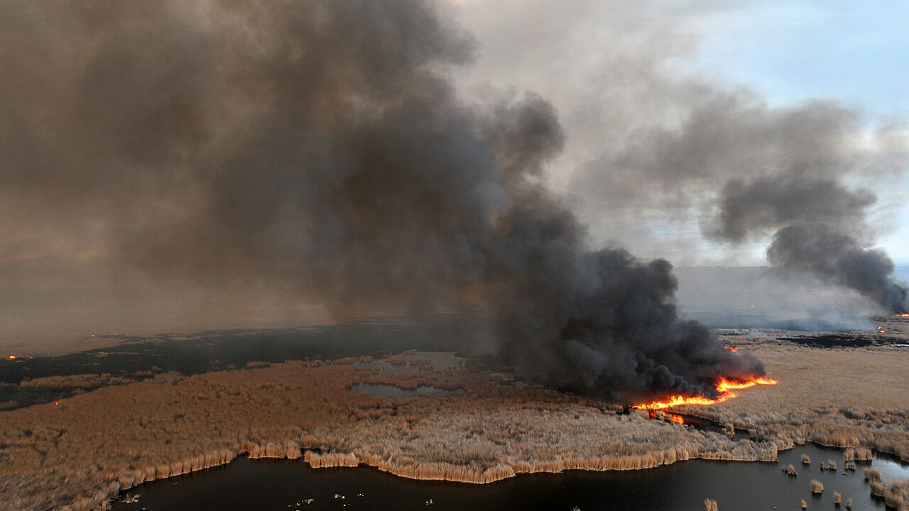 Korunması gereken alan alevler içinde! Kayseri Sultan Sazlığı Milli Parkı'nda yangın çıktı Korunması gereken alan alevler içinde! Sultan Sazlığı Milli Parkı'nda yangın çıktı - 2. Resim