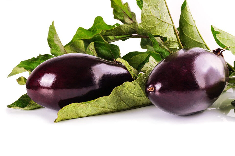 Patlıcan sapları ile basura veda! 5 günde tedavi edici etki Patlıcan sapları ile basura veda! 5 günde tedavi edici etki - 1. Resim