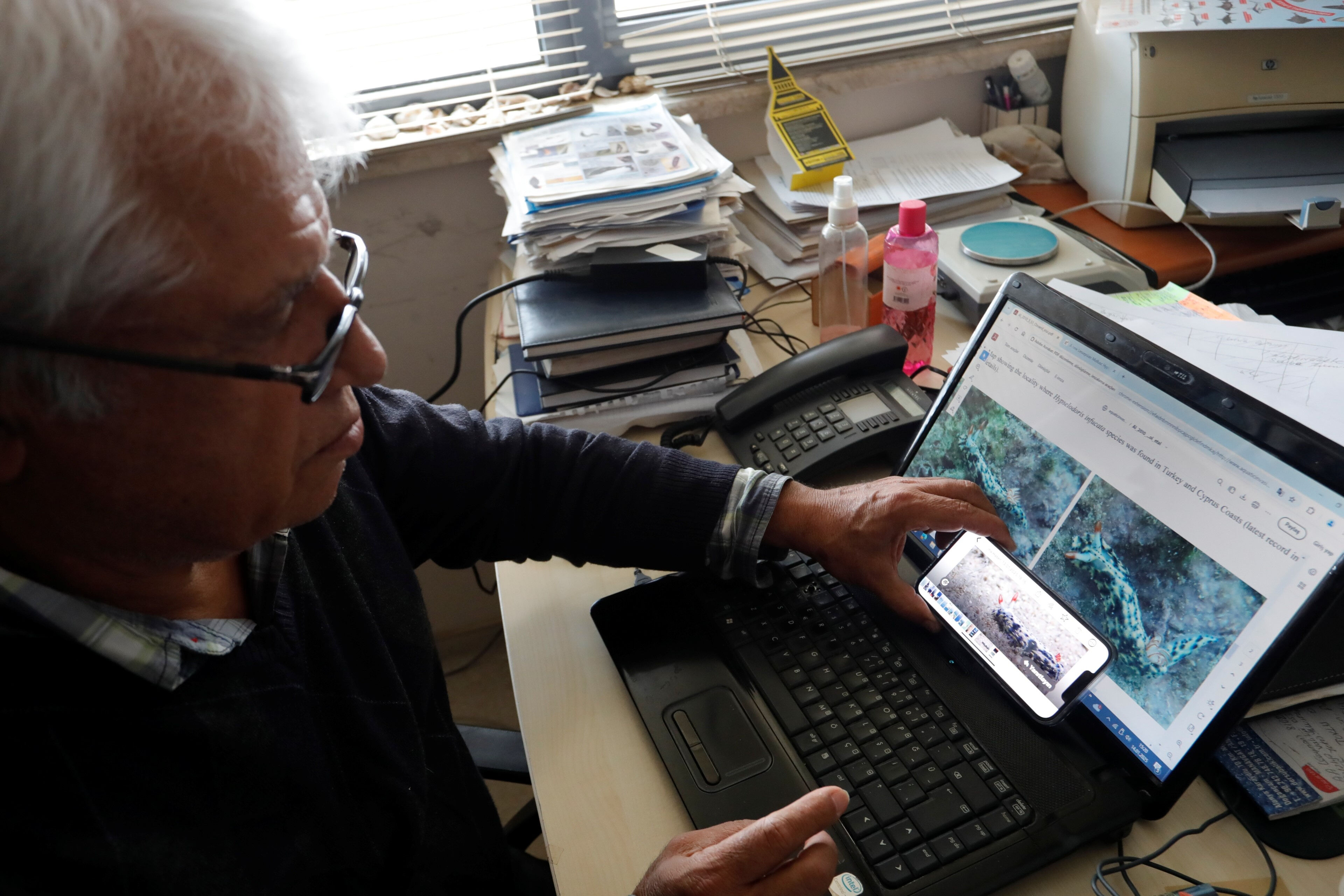 En son 15 yıl önce görülmüştü! Antalya'da 'deniz tavşanı' dalgıçları hayret içinde bıraktı - 2. Resim