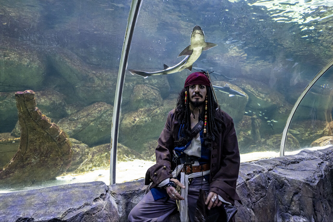 Yerli 'Jack Sparrow' çarşıyı pazarı karıştırdı! Gören bir daha baktı, Karayip Korsanları rüzgarı esti - 10. Resim