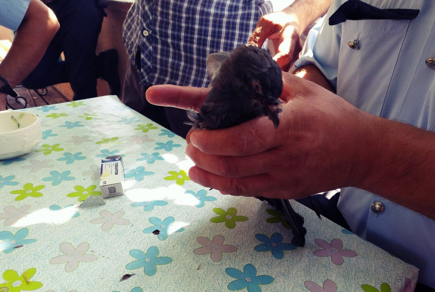 Ailesinden 5 kişiyi öldürmüştü! Polis memuru 8 yıl önce yaralı güvercin kurtarmış Ailesinden 5 kişiyi öldürmüştü! Polis memuru 5 yıl önce yaralı güvercin kurtarmış - 1. Resim