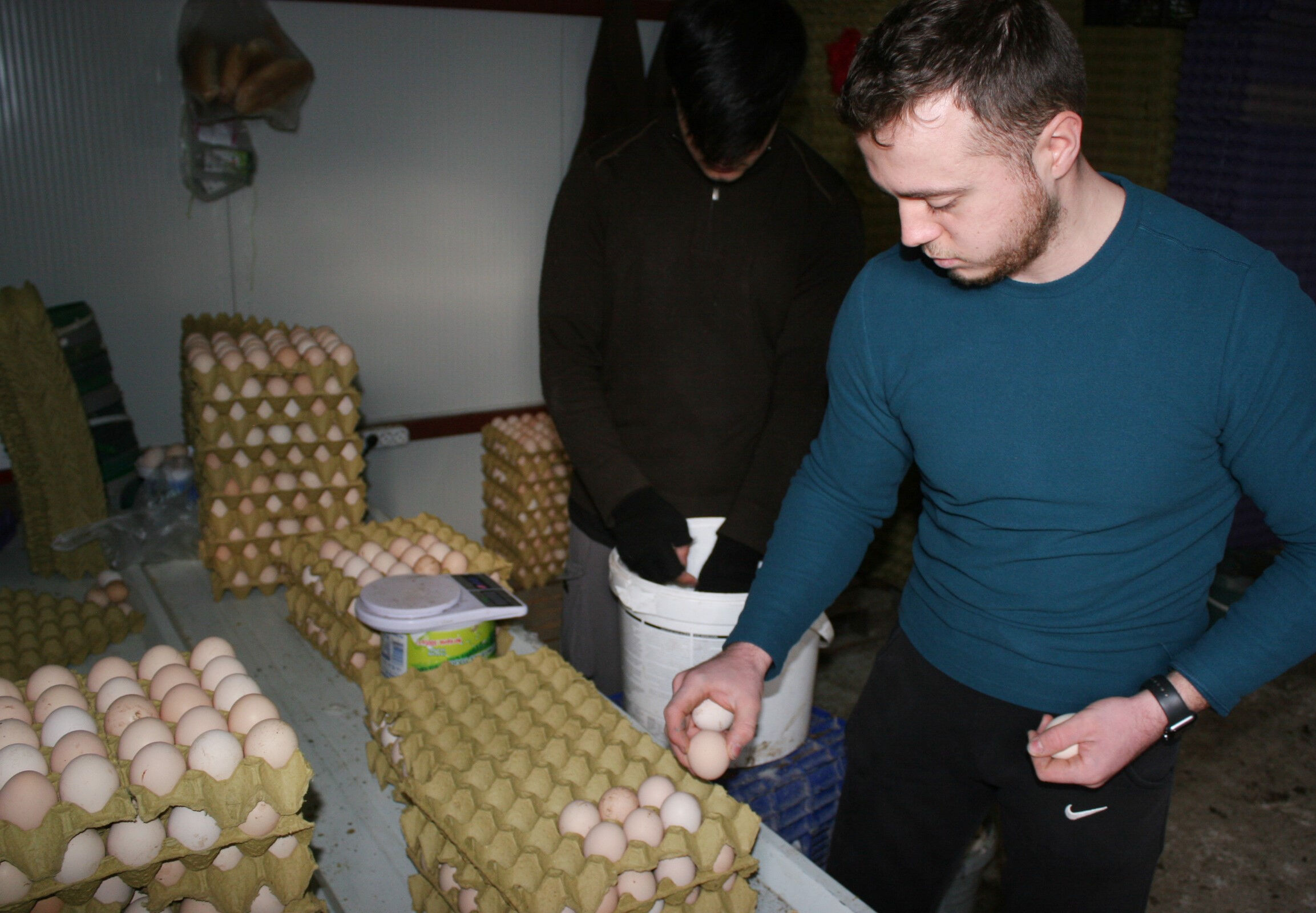 Hobi olarak başladığı işte destan yazdı! 3 bin tane tavuğu var, paraya para demiyor - 3. Resim