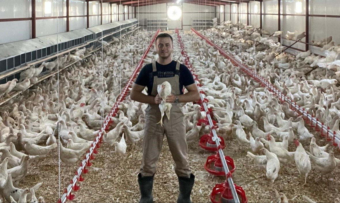 Hobi olarak başladığı işte destan yazdı! 3 bin tane tavuğu var, paraya para demiyor - 1. Resim
