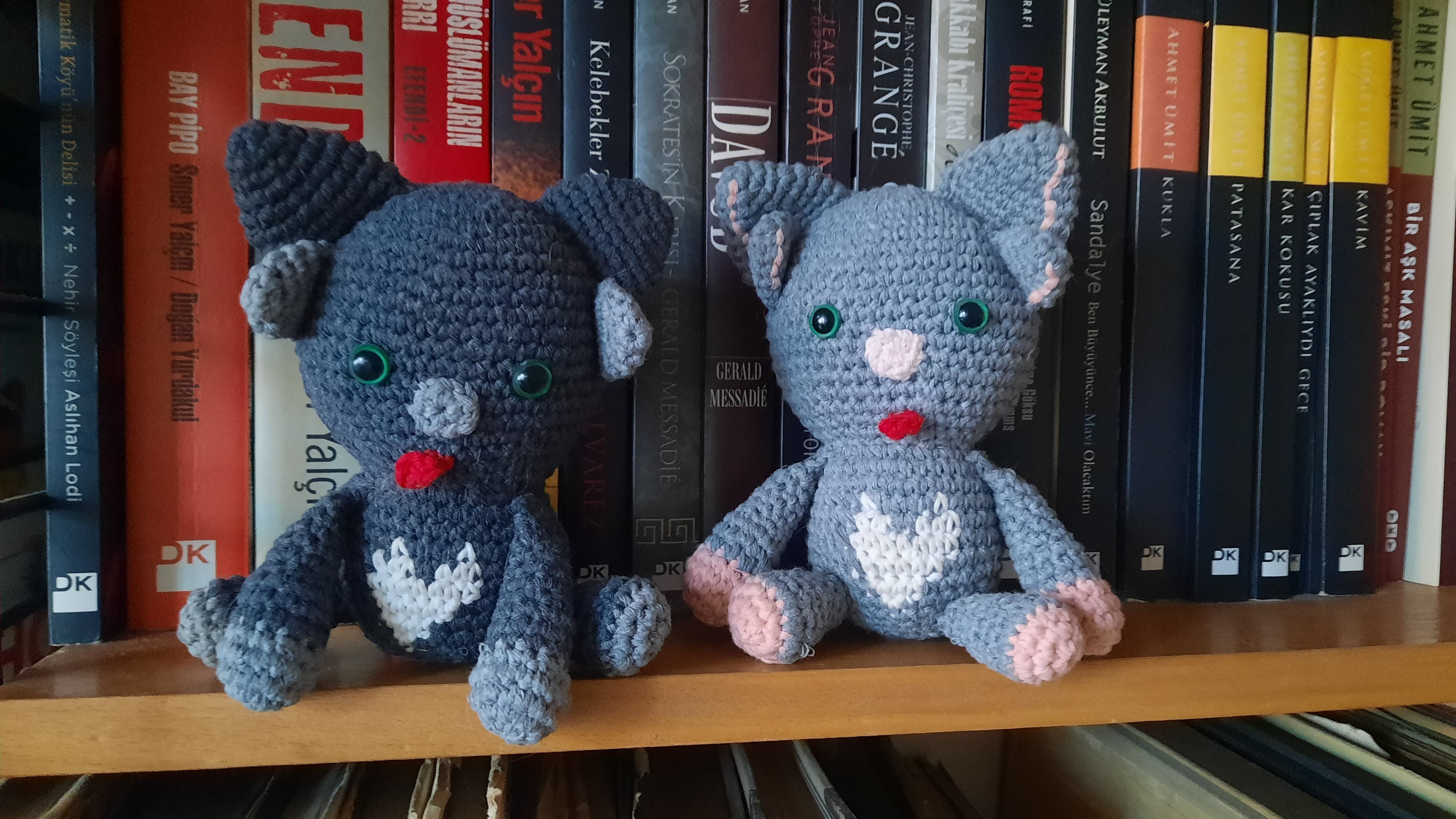 Ankaralı Midas'ın ünü dünyaya yayıldı! Türkiye'de ilk, dünyada sayısı az - 3. Resim