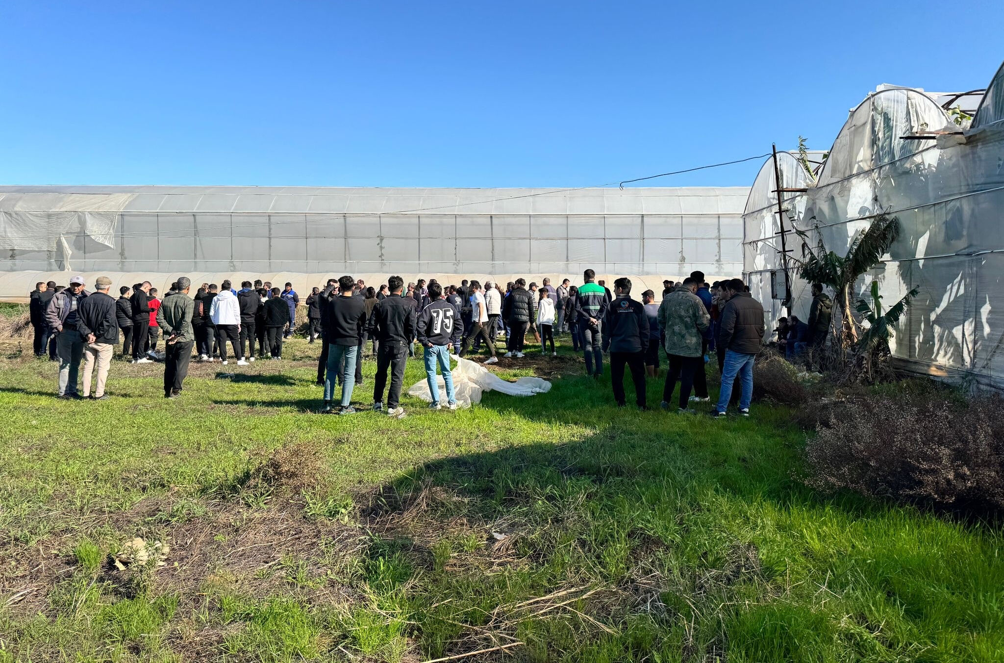 Her yerde aranan 18 yaşındaki gençten acı haber! Muz serasında asılı halde bulundu - 1. Resim