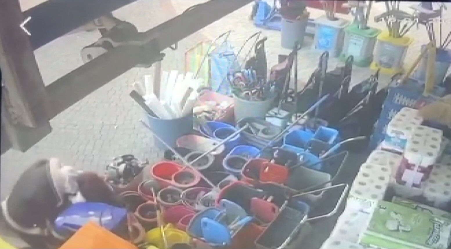 Kadınlar saç saça kavga etti, tekmeler havada uçuştu - 1. Resim