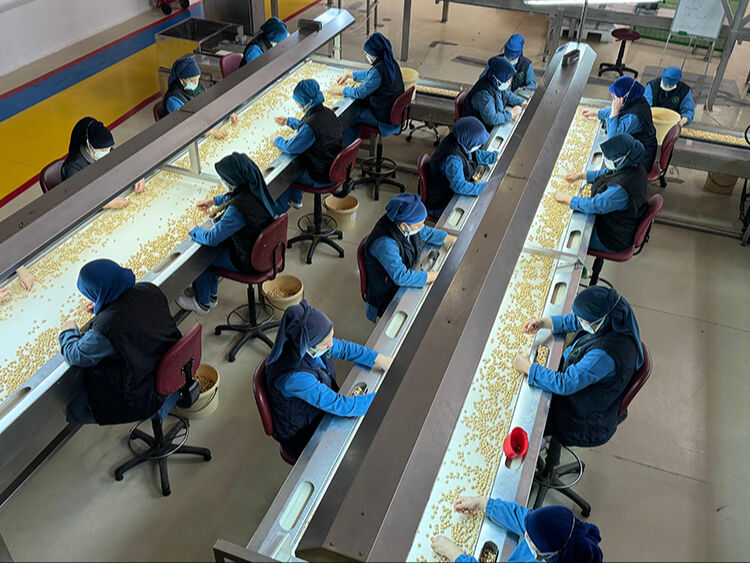 Karadeniz'den 323 bin tonluk ihracat! Türkiye'den en çok fındık içi alan ülke Avrupa'dan Karadeniz'den 323 bin tonluk ihracat! Türkiye'den en çok fındık içi alan ülke Avrupa'dan - 1. Resim