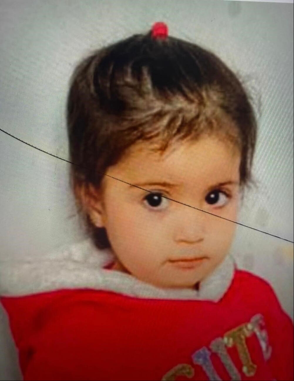 Misafirliğe gittiği evin önünde oyun oynuyordu! AFAD kaybolan Suriyeli 2 yaşındaki Esil için alarma geçti - 2. Resim