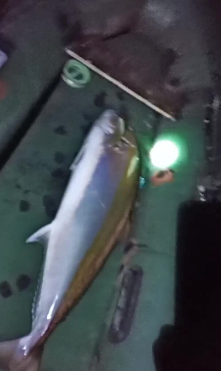 İskenderun Körfezi'nde yakaladı! Uzunluğu 1 metre, ağırlığı 50 kilo: 2 saat mücadele verdim İskenderun Körfezi'nde yakaladı! Uzunluğu 1 metre, ağırlığı 50 kilo: 2 saat mücadele verdim - 4. Resim