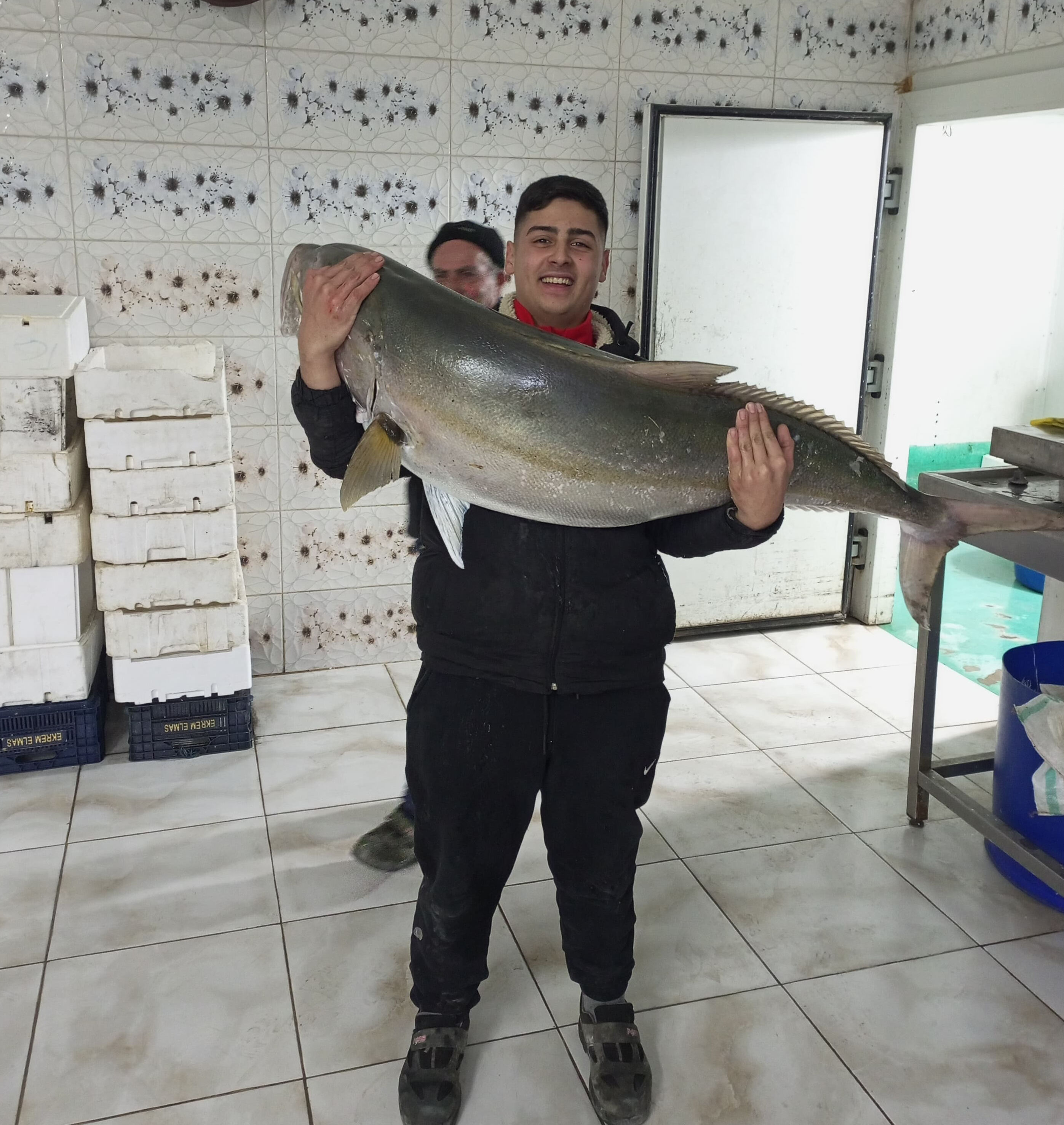 İskenderun Körfezi'nde yakaladı! Uzunluğu 1 metre, ağırlığı 50 kilo: 2 saat mücadele verdim İskenderun Körfezi'nde yakaladı! Uzunluğu 1 metre, ağırlığı 50 kilo: 2 saat mücadele verdim - 1. Resim