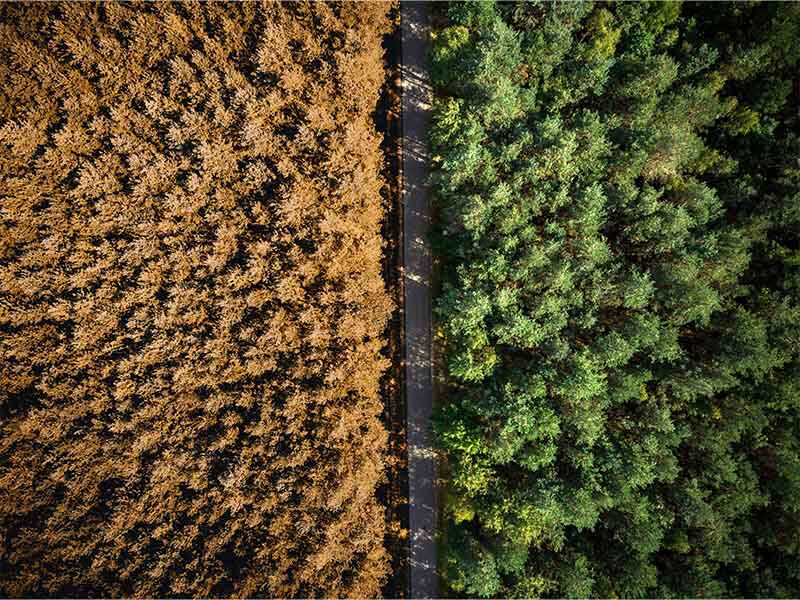 Karbon ayak izi ne demek? Karbon ayak izi ne demek? - 5. Resim