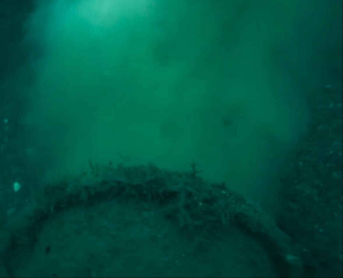 Marmara Denizi'nde korkutan görüntüler! Profesörden çarpıcı açıklama: Marmara'ya karşı işlediğimiz suçları açık etti - 2. Resim