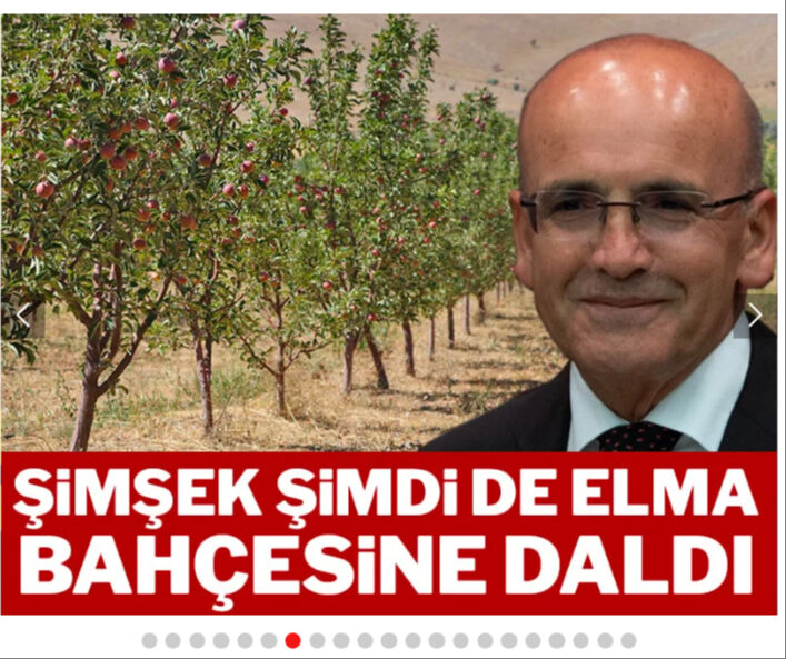 "Şimşek şimdi de elma bahçesine daldı" haberiyle ilgili açıklama! İşin aslı çok başka çıktı - 1. Resim